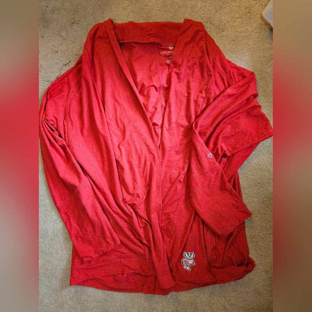 Wisconsin Badger Swing Sweater XL